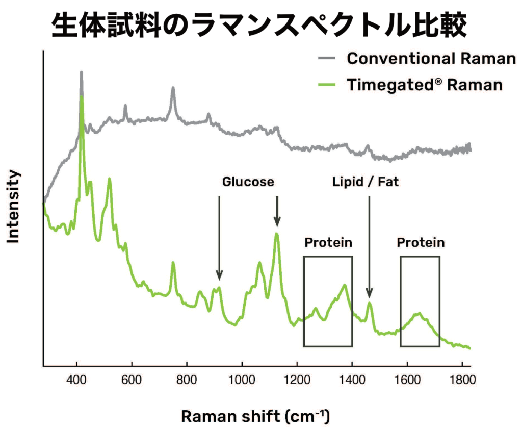 Timegateラマン分光と従来ラマン分光のスペクトル比較（生体試料）